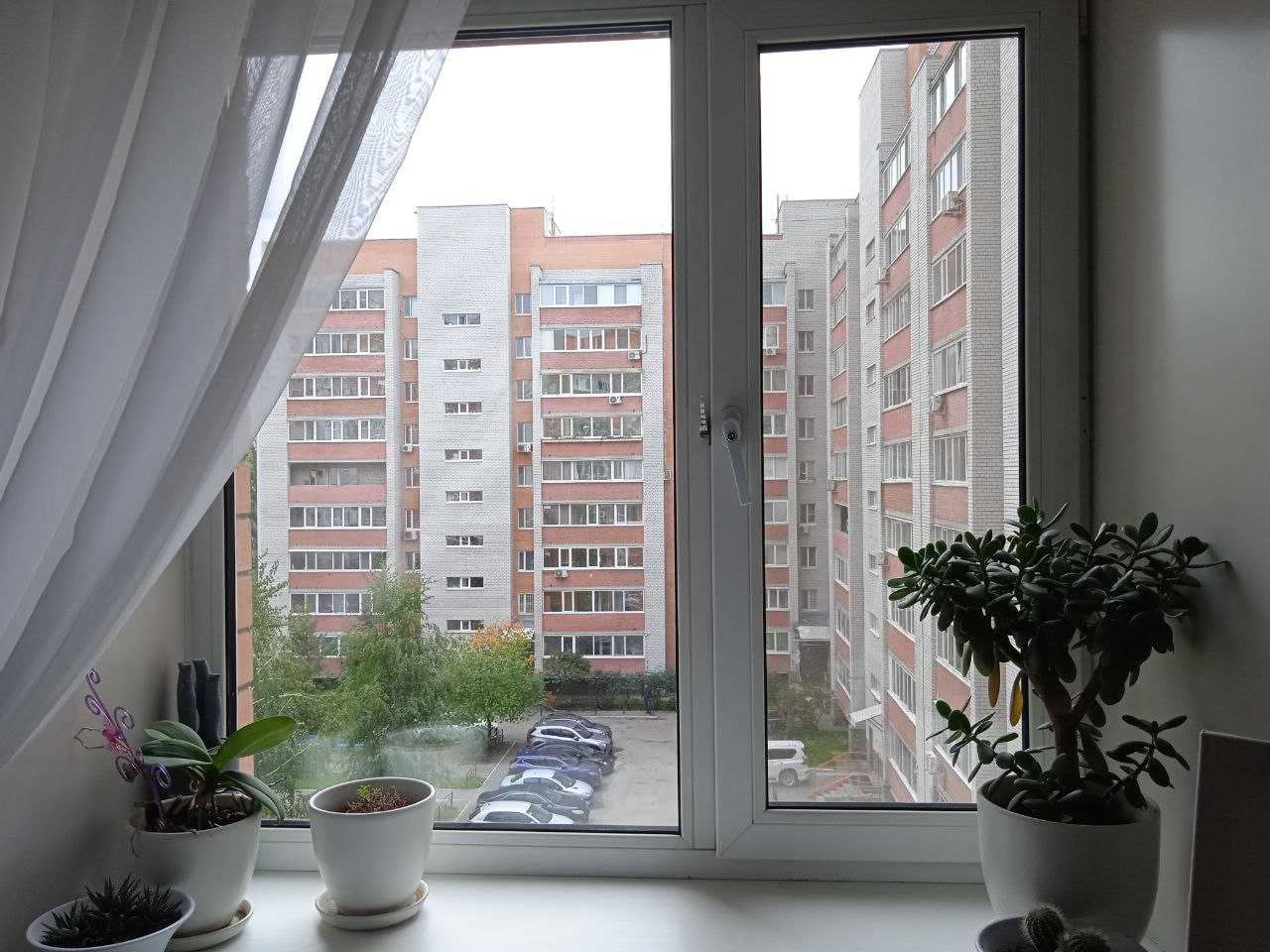 https://kovrov.delaem-okna.ru/storage/app/uploads/public/63f/331/482/63f331482975f325093091.jpg